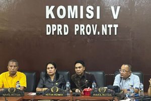 Legislator Asal Malaka di Provinsi NTT Tergabung Dalam Komisi V, Ini Mitranya