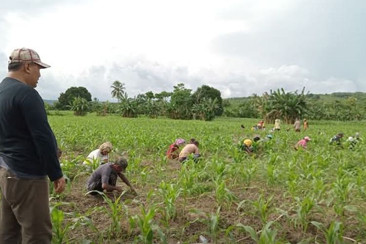 Screenshot 20250505 120834 Facebook 1245985497