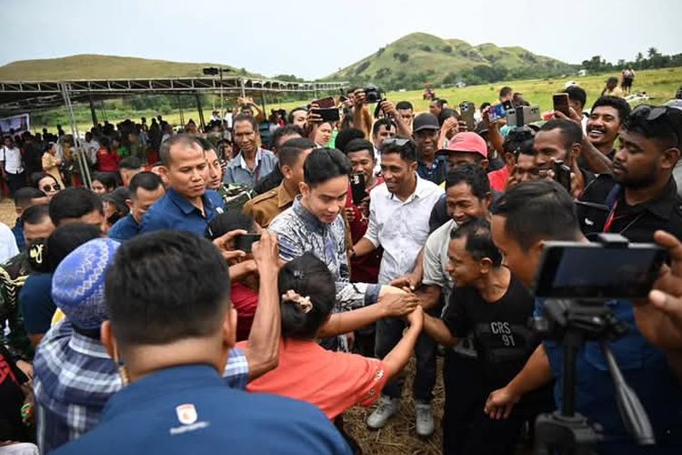 Screenshot 20250506 202954 Gallery 3305815525