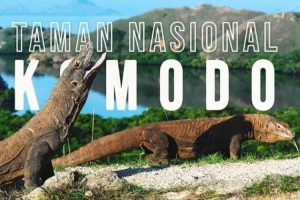 5 Kepala Daerah Paling Berpengaruh di NTT: Silahkan Cek Bupati Anda !