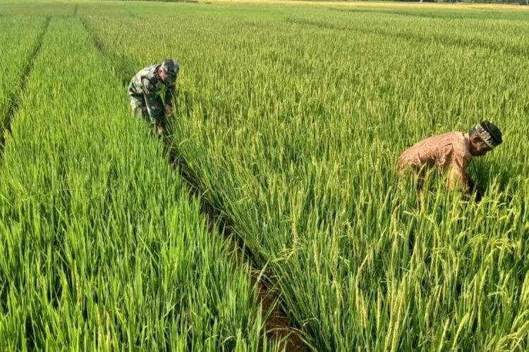 Screenshot 20250515 201203 Instagram 992679375