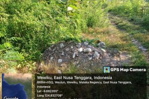 Diduga Proyek Fiktif, Jalan Usaha Tani di Desa Weulun Malaka Mangkrak dan Tertutup Semak