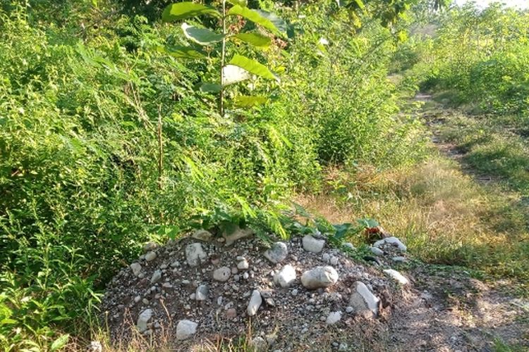 Screenshot 20250524 075504 WhatsApp 1263746914