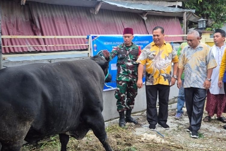 Pemkab Malaka Serahkan Enam Ekor Sapi Kurban untuk Umat Muslim,  Wujud Toleransi Antar Umat Beragama