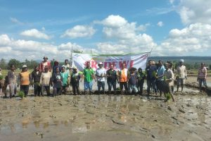 Kolaborasi Cerdas Efata II Bersama BISI dan WVI, Bantu SBS–HMS Majukan Petani Malaka