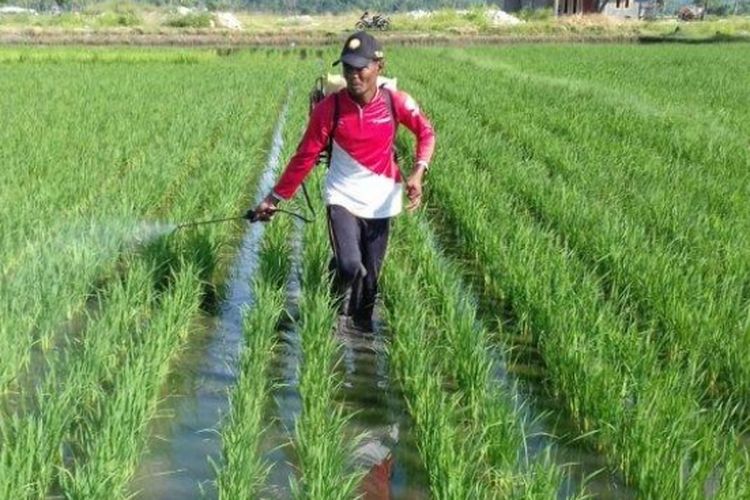 Screenshot 2025 09 26 07 39 45 31 40deb401b9ffe8e1df2f1cc5ba480b12 1641323559