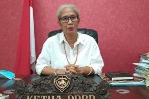 Tunjangan DPRD NTT Dinilai Fantastis, Begini Jawaban Emilia Nomleni