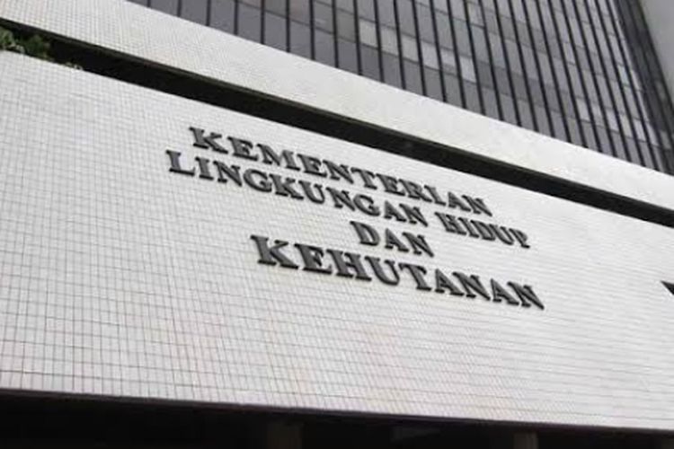 Viral Main Domino dengan Pembalak Liar, Begini Klarifikasi Menhut Raja Juli Antoni