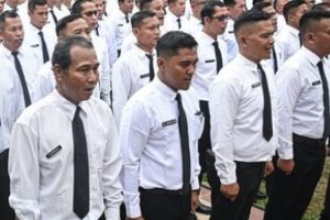 Pemerintah Resmi Luncurkan Skema PPPK Paruh Waktu, Gaji Sesuai UMP hingga THR