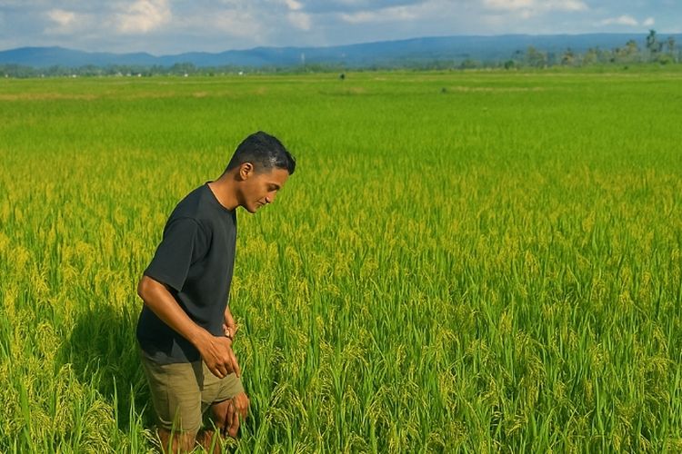 Screenshot 2025 10 12 19 46 19 65 96b26121e545231a3c569311a54cda96 1565030564