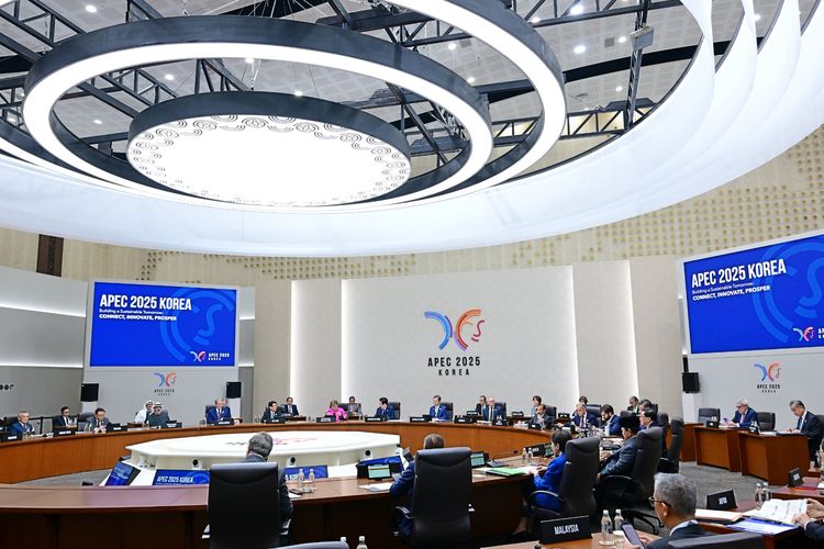 IMG 20251103 WA0050 1597166936