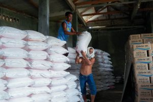 Petani Jonggol Sambut Gembira Penurunan Harga Pupuk 20%, Pendapatan Kian Terbantu Berkat HET Padi yang Membaik