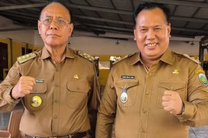 Malaka Diakui Secara Nasional dalam Penurunan Stunting, Begini Ungkapan Wakil Bupati HMS