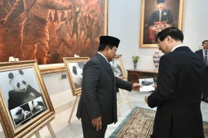 Bayi Panda di Indonesia Jadi Sorotan Utama Pertemuan Prabowo–Wang Huning, Ada Cerita Menarik di Baliknya
