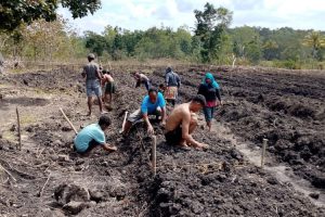 Hortikultura Malaka: Peluang Baru dari Tanah Perbatasan