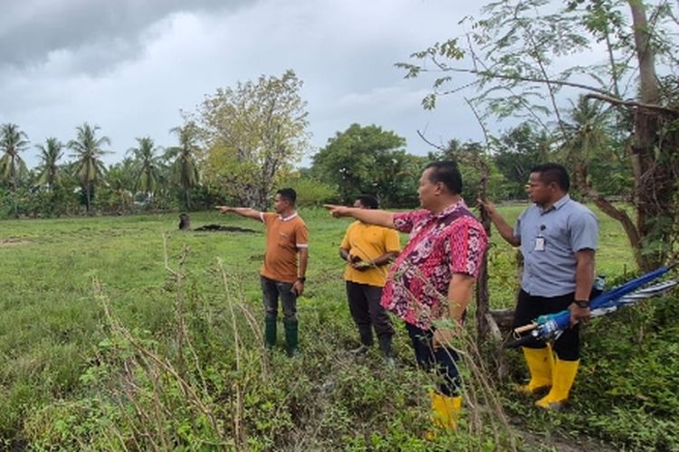 Screenshot 20250621 082341 WhatsApp 2586040869 2