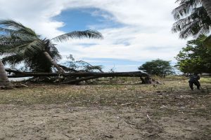 Pantai Hasan Maubesi Bersolek, PUPR Malaka Siapkan Lokasi Pembagian SK PPPK Paruh Waktu