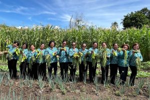 Panen Perdana Kebun Percontohan PKK Malaka, Ketua TP PKK Dorong Pemanfaatan Pekarangan