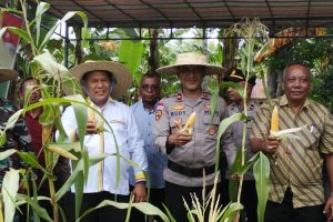 Panen Raya Jagung Serentak 2026, Wabup HMS Apresiasi Peran Polres Malaka Dukung Petani