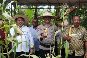 Wabup Malaka HMS Tegaskan Kades Turun ke Kebun, Petani Tak Tanam Jagung Terancam Dicoret dari Program Olah Lahan Gratis