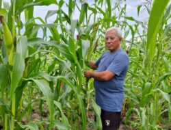 Damai yang Diserukan dari Vatikan, Dentuman yang Datang dari Washington