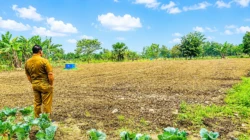 Wakil Bupati Malaka HMS Beri Contoh Nyata, Bangun Kebun Hortikultura dan Ajak Anak Muda Menjadi Petani Sukses 2 file_00000000a9e481f59bcbca5486246e5a