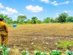 Wakil Bupati Malaka HMS Beri Contoh Nyata, Bangun Kebun Hortikultura dan Ajak Anak Muda Menjadi Petani Sukses