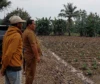 SBS HMS Siapkan Kelompok Sarjana Pertanian, Perikanan dan Peternakan di Tiap Kecamatan, Pemda Fasilitasi Modal