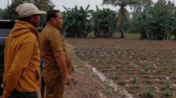 SBS HMS Siapkan Kelompok Sarjana Pertanian, Perikanan dan Peternakan di Tiap Kecamatan, Pemda Fasilitasi Modal